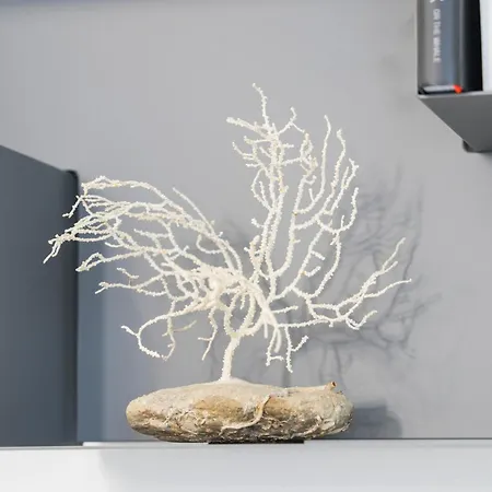 Casa Grace Appartement *