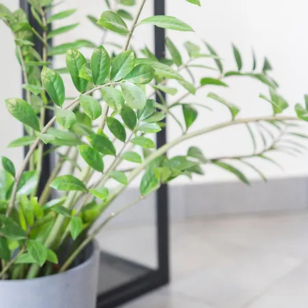 Apartment Casa Grace Sestri Levante